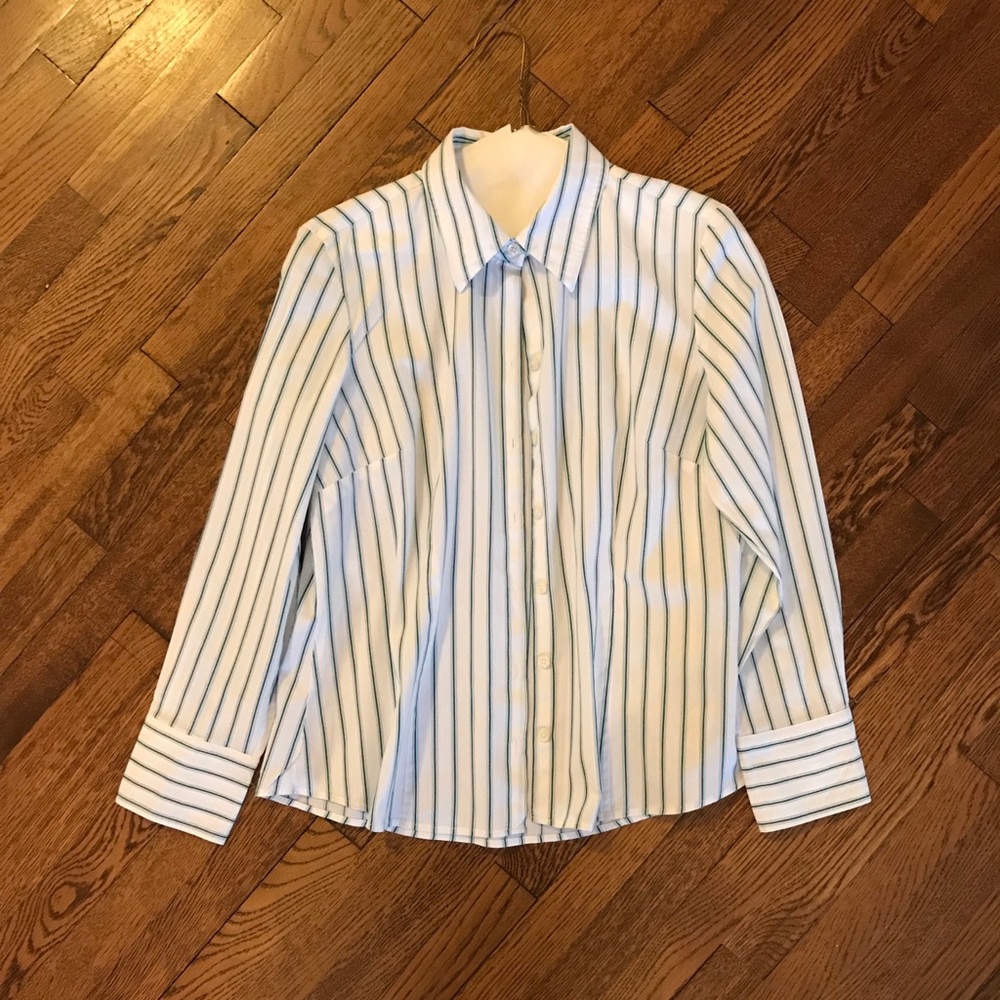 Ann Taylor’s Loft Ladies Cotton Blouse, 12P